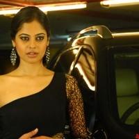 Bindhu Madhavi Hot Photo Shoot Pictures | Picture 93559
